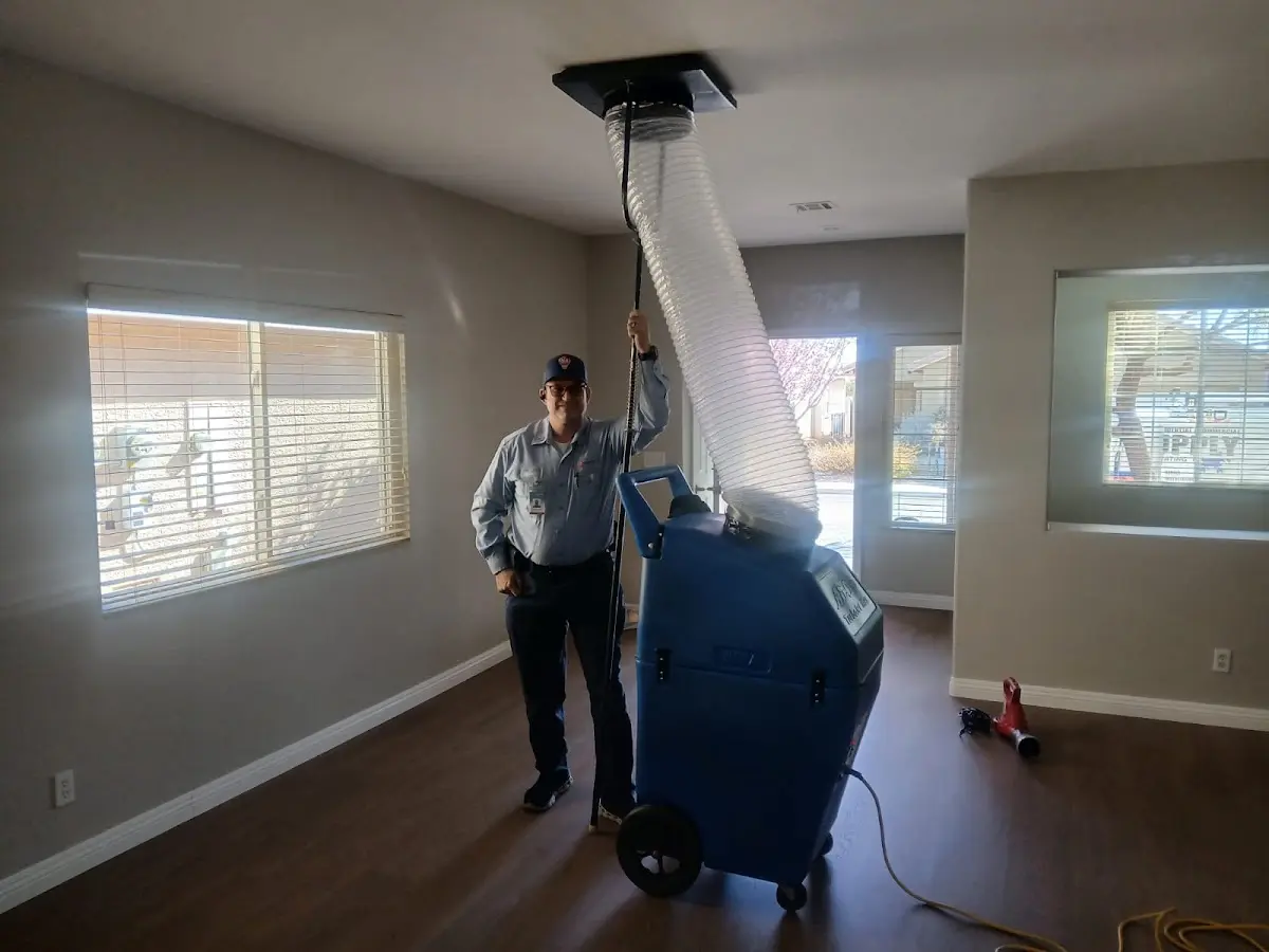 Professional Dryer Vent Cleaning work inside a Murraysville home